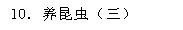 10．养昆虫（三）