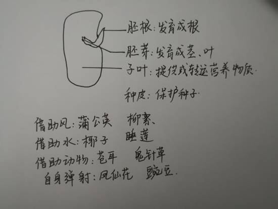 说明: IMG_20210218_211955