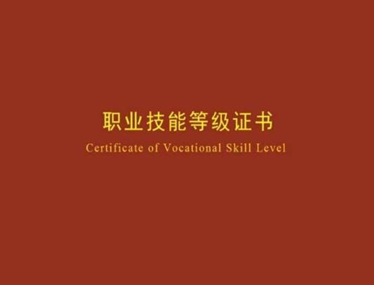 说明: 图片包含 文本
      描述已自动生成