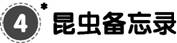 说明: id:2147496133;FounderCES