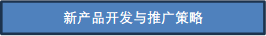 新产品开发与推广策略